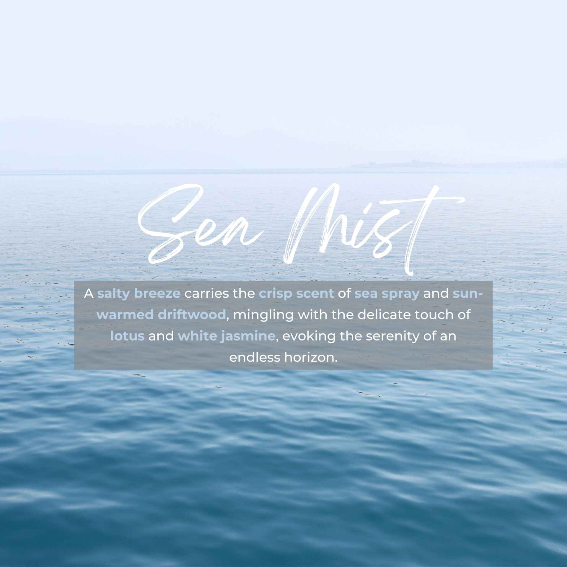 REFILL FOR REED DIFFUSER SEA MIST 2