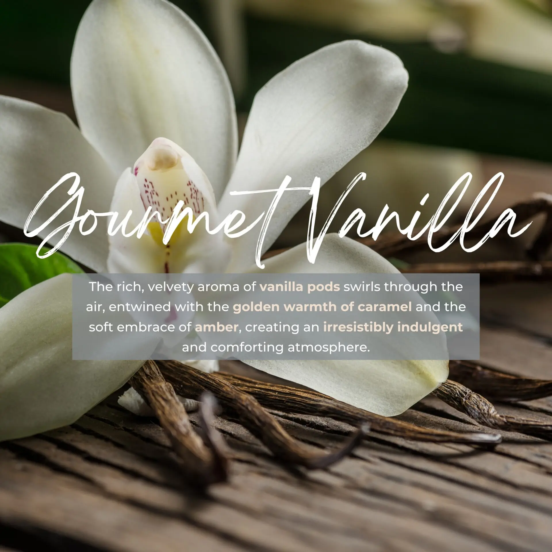 3287570450016 REED DIFFUSER GOURMET VANILLA 5