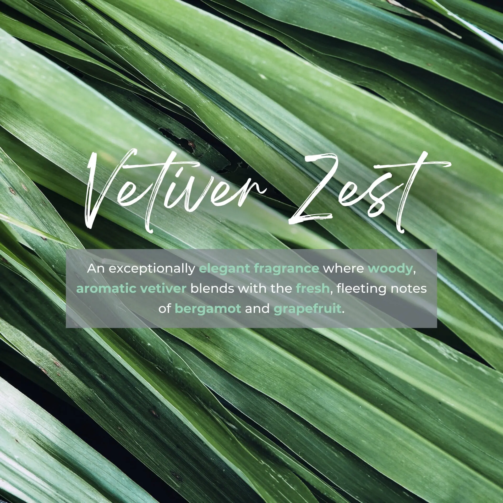 REED DIFFUSER VETIVER ZEST 3