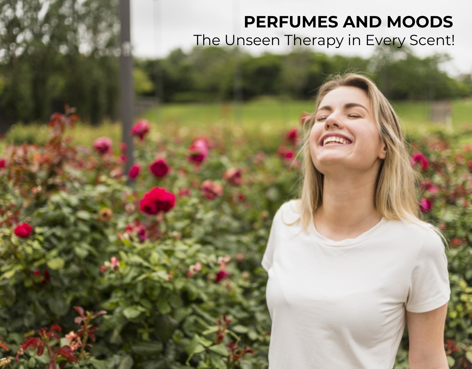 Perfumes and Moods